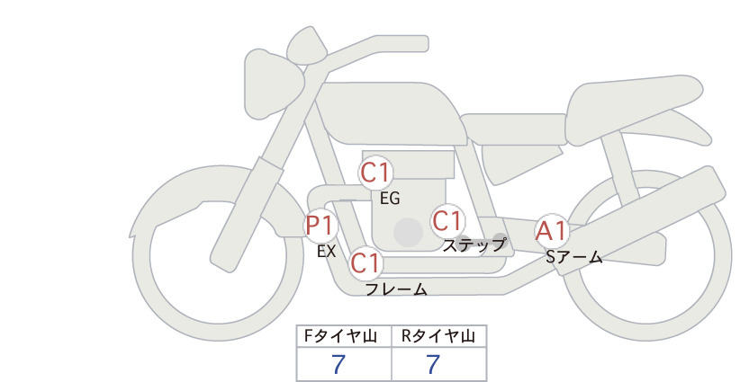 Auction Card