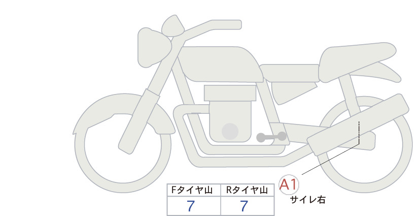 Auction Card