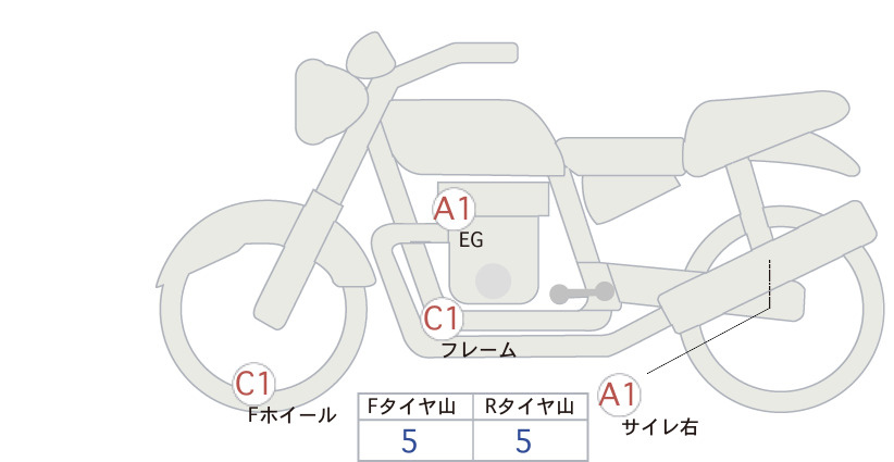 Auction Card
