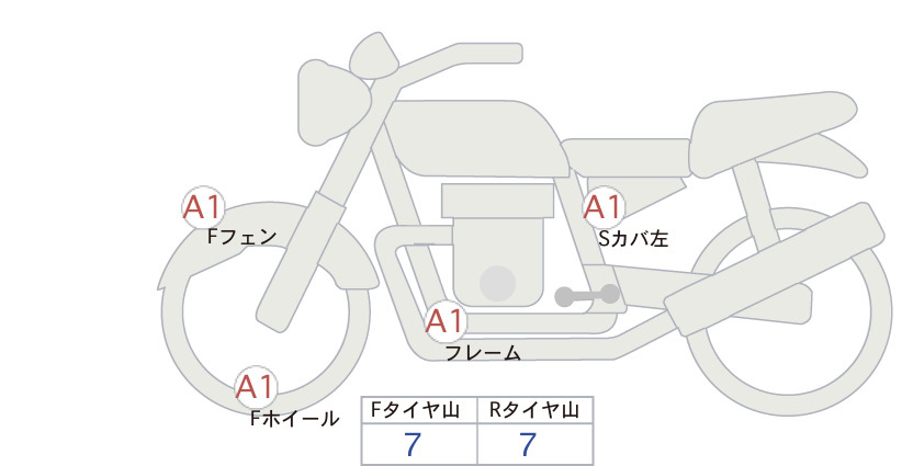 Auction Card