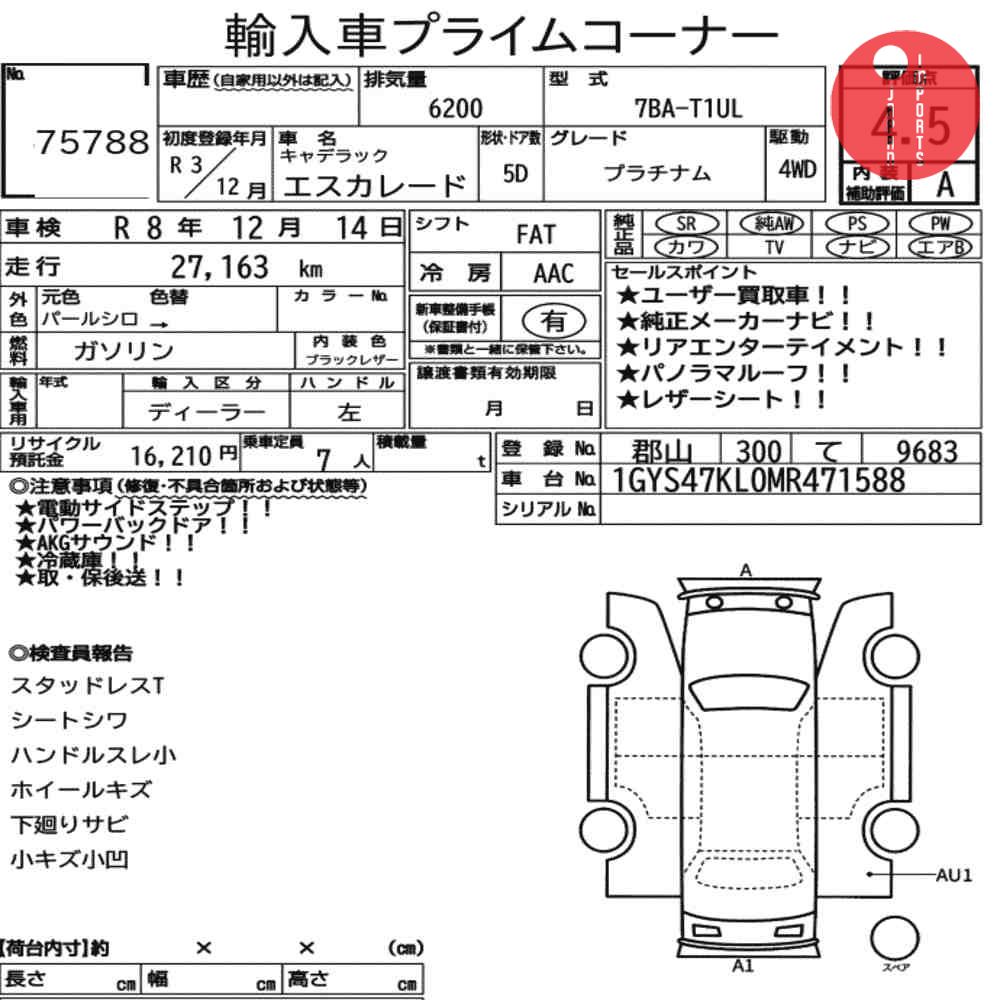 Auction Card