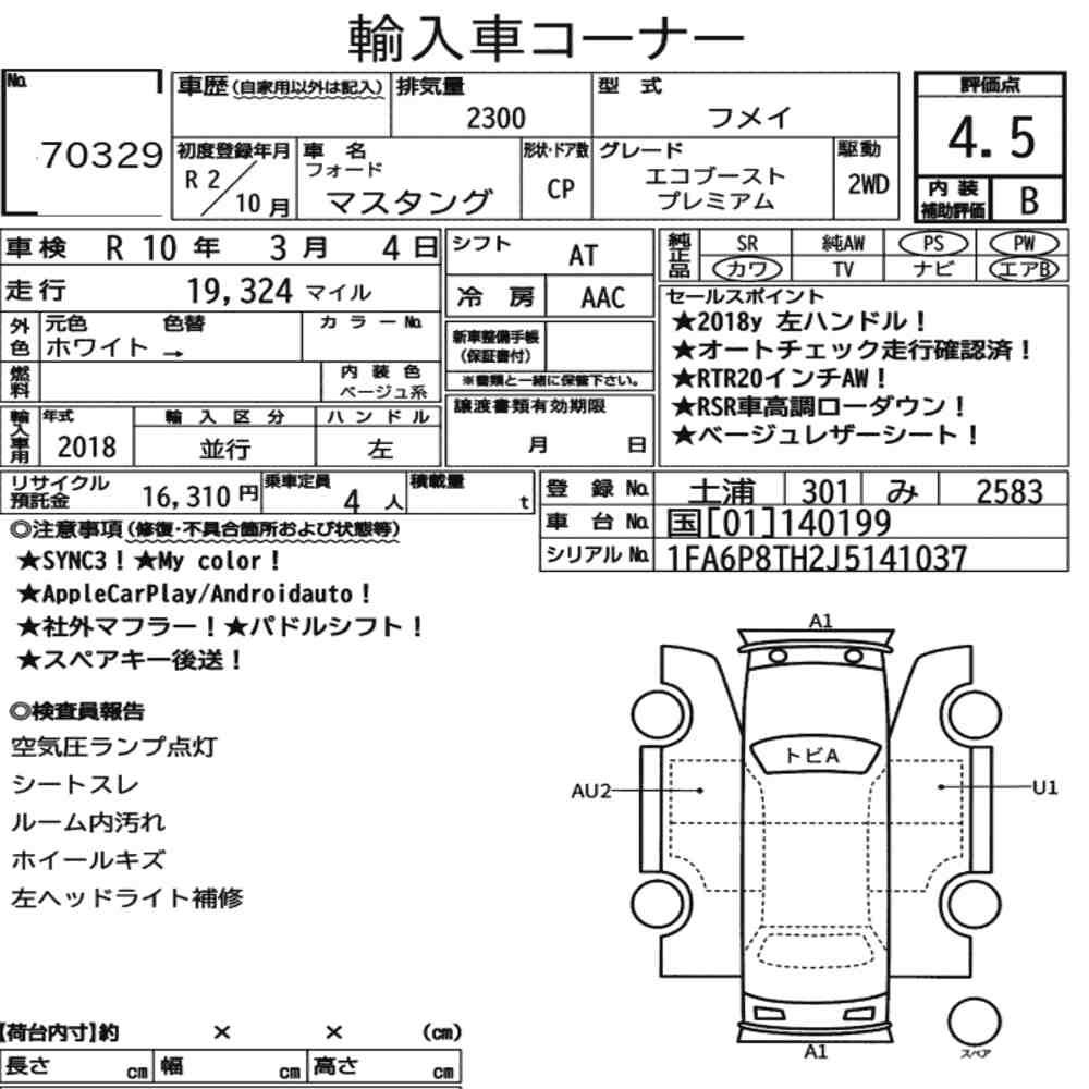Auction Card