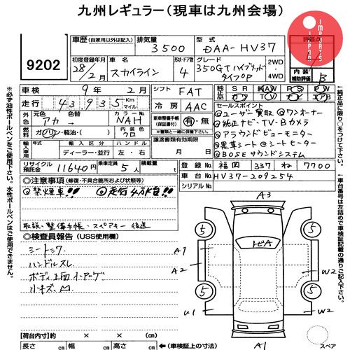 Auction Card