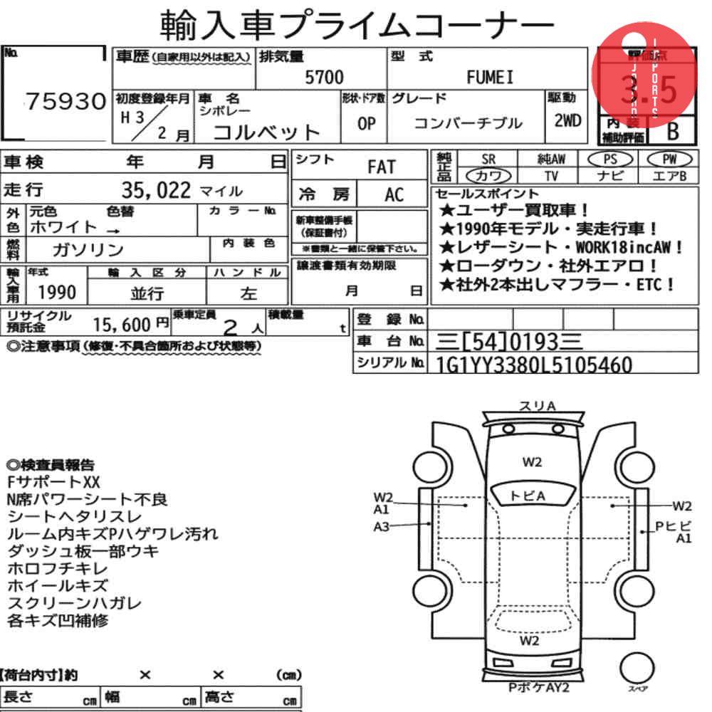 Auction Card