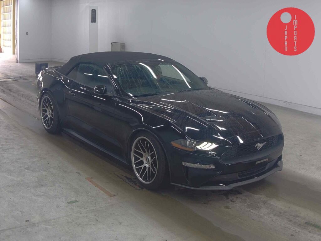 FORD                                                                      MUSTANG OP