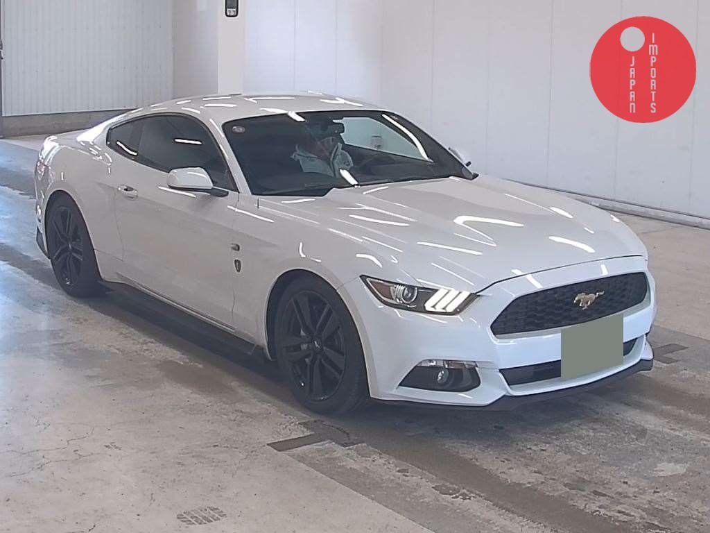 FORD                                                                      MUSTANG CP       ECO BOOST