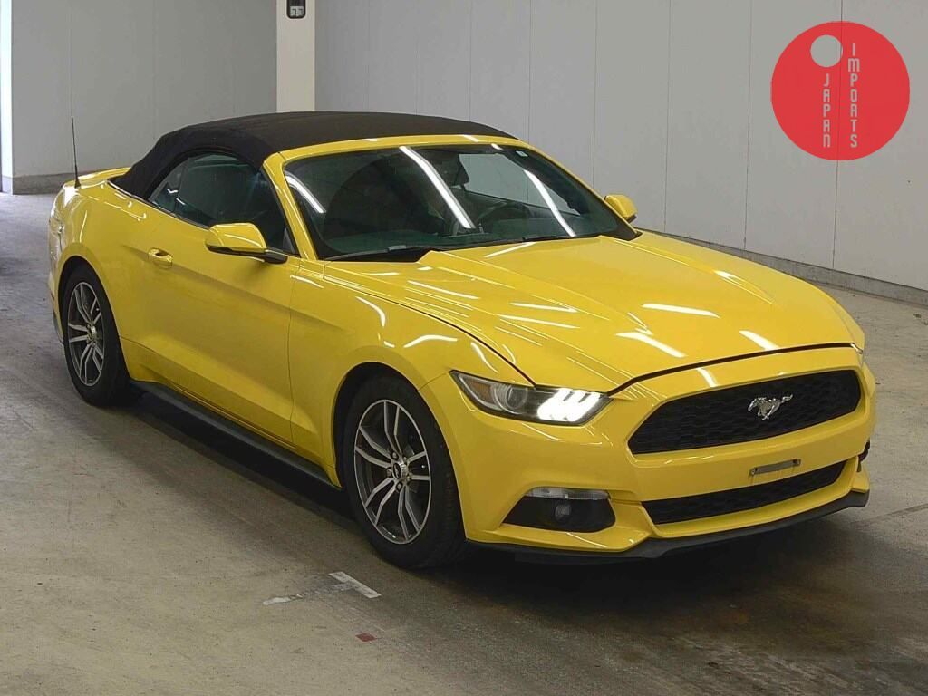 FORD                                                                      MUSTANG OP