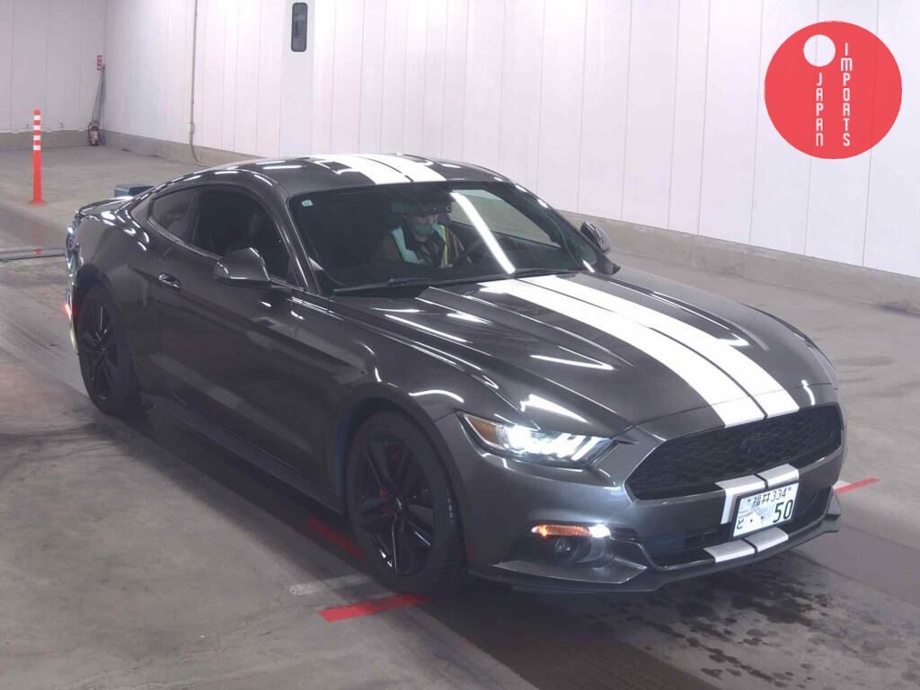FORD                                                                      MUSTANG CP       50 YEARS EDITION