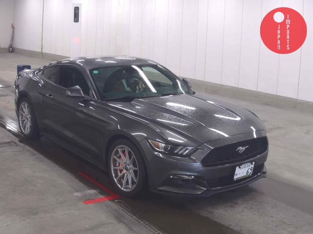 FORD                                                                      MUSTANG CP       50 YEARS EDITION
