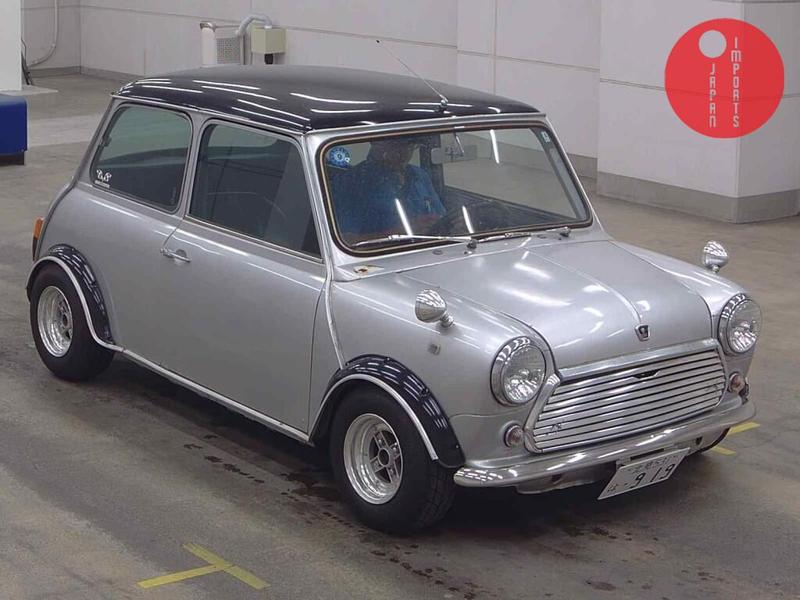 ROVER MINI 2D