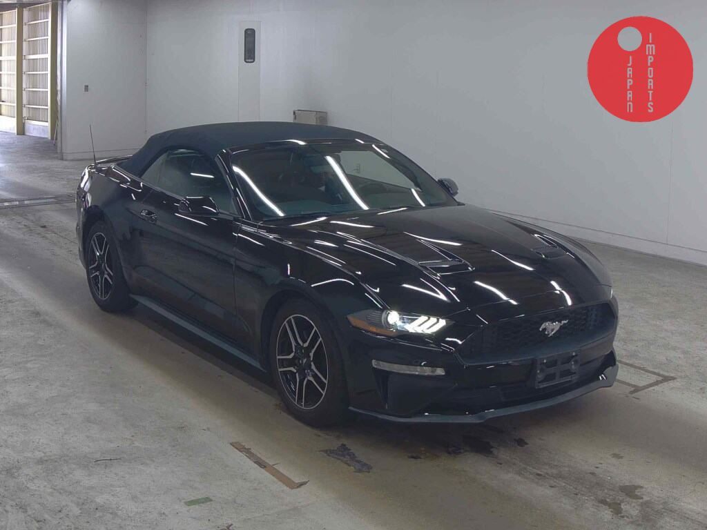 FORD                                                                      MUSTANG OP       ECO BOOST CONVERTIBLE